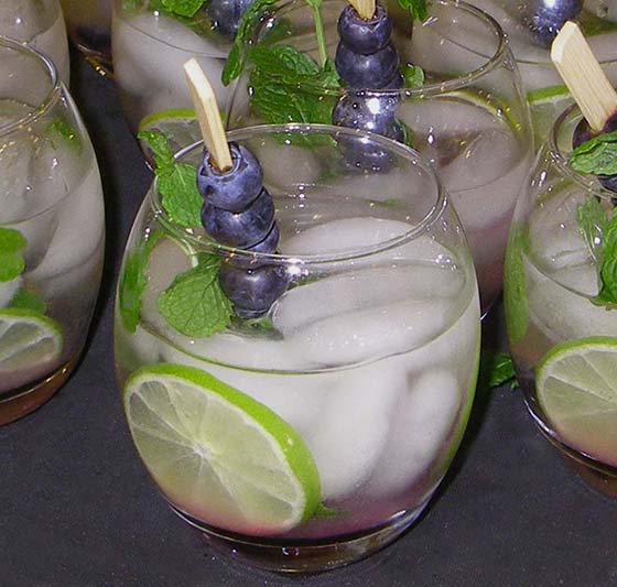 Blackberry Mojito cocktail 